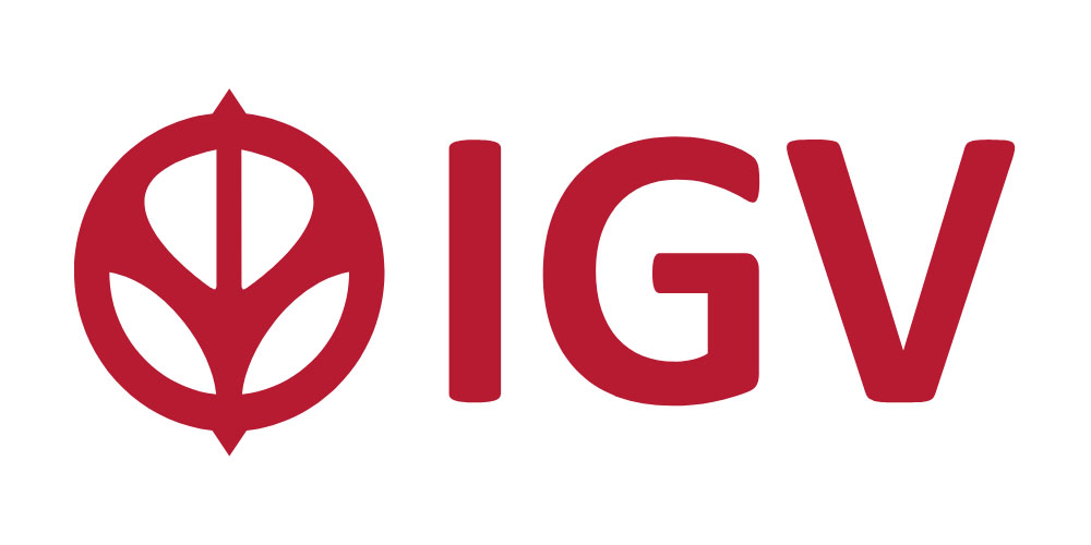 How to Buy MT 2K23 from iGV Complete Guide